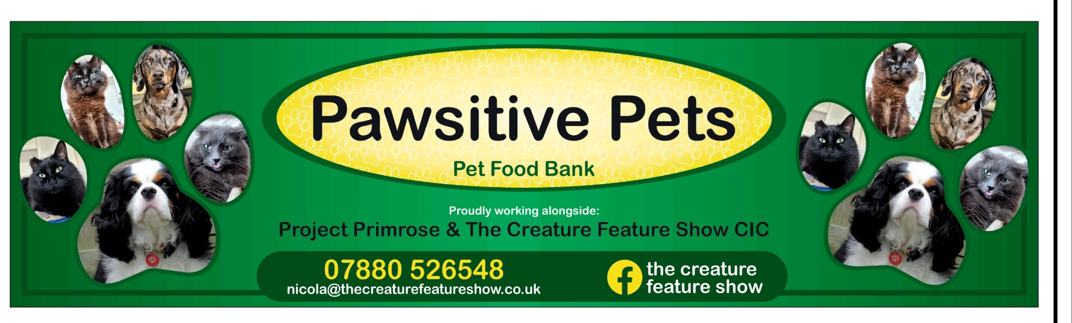 Pawsitive Pets
